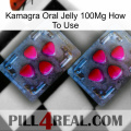 Kamagra Oral Jelly 100Mg How To Use 14